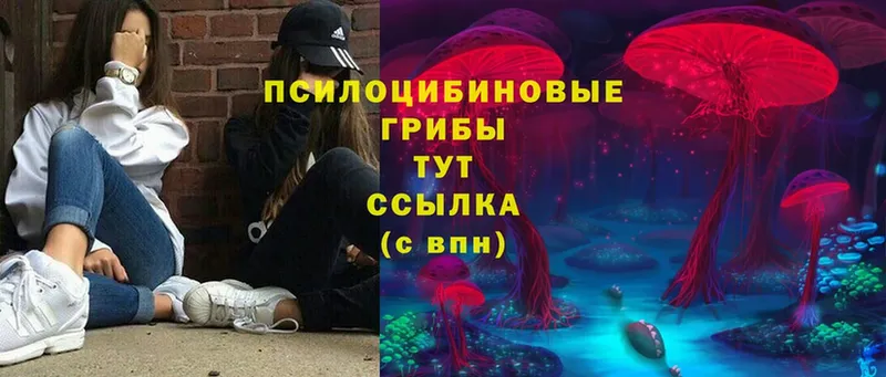 Псилоцибиновые грибы MAGIC MUSHROOMS  МЕГА рабочий сайт  Каменка 